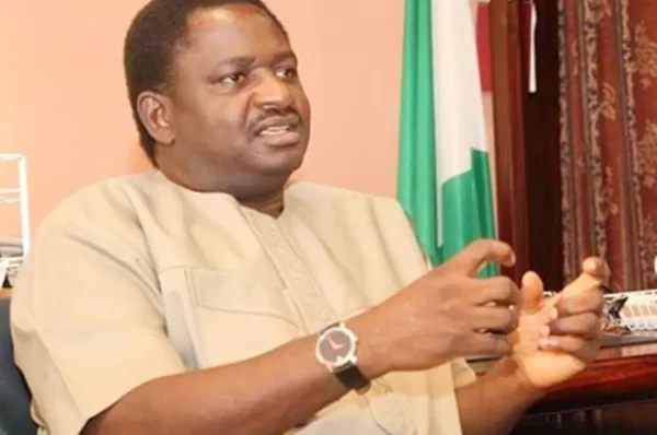 Govt not responsible for creating jobs – Adesina
