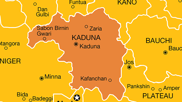 Diphtheria: Three Children Dead, Seven Hospitalised In Kaduna LGA