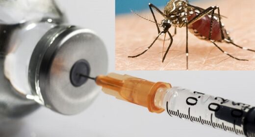 Nigeria Excluded As 12 African Countries Set To Receive Malaria Vaccine